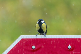 STOP, egy kis pihenő