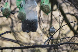 Most engem fotózol?