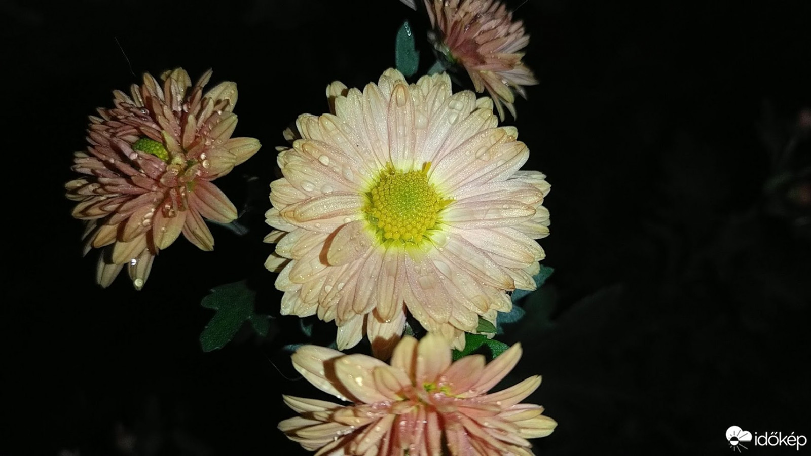 :)