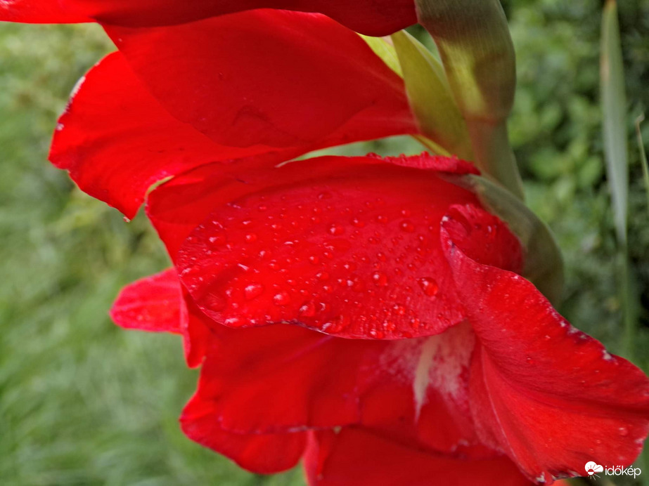 Esős idő volt ma Budapesten 