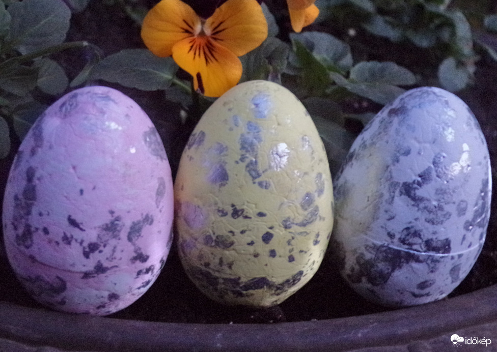 Kellemes húsvéti ünnepeket kívánok Mindenkinek!