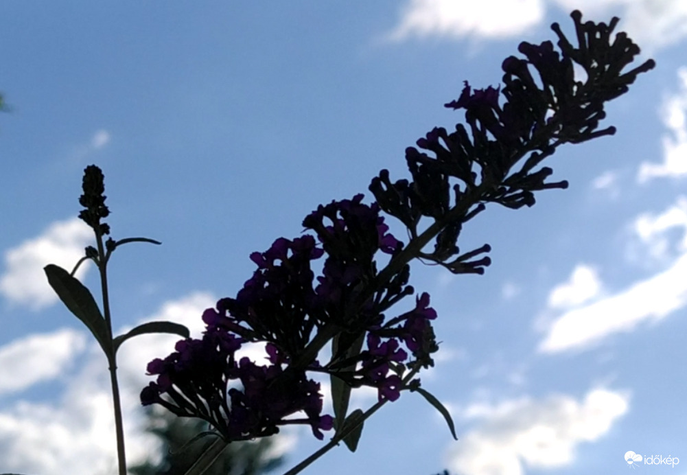 Közepesen felhős az idő Budapesten, 26°C van.