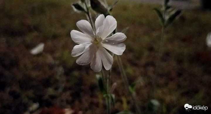 :)