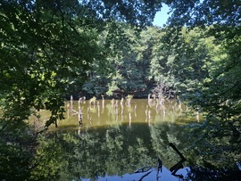 Gyilkos-tó