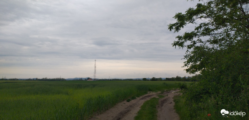 Győr
