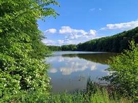 Szajki-tavak