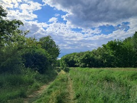szilwa fotója