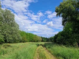 szilwa fotója