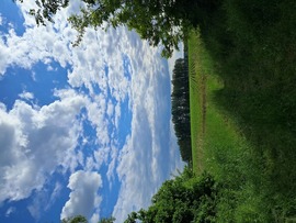 szilwa fotója