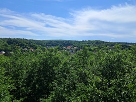 Ravazd