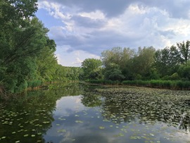 Holt-Rába