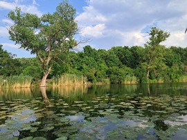 Holt-Rába