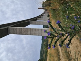 Kőröshegyi völgyhíd