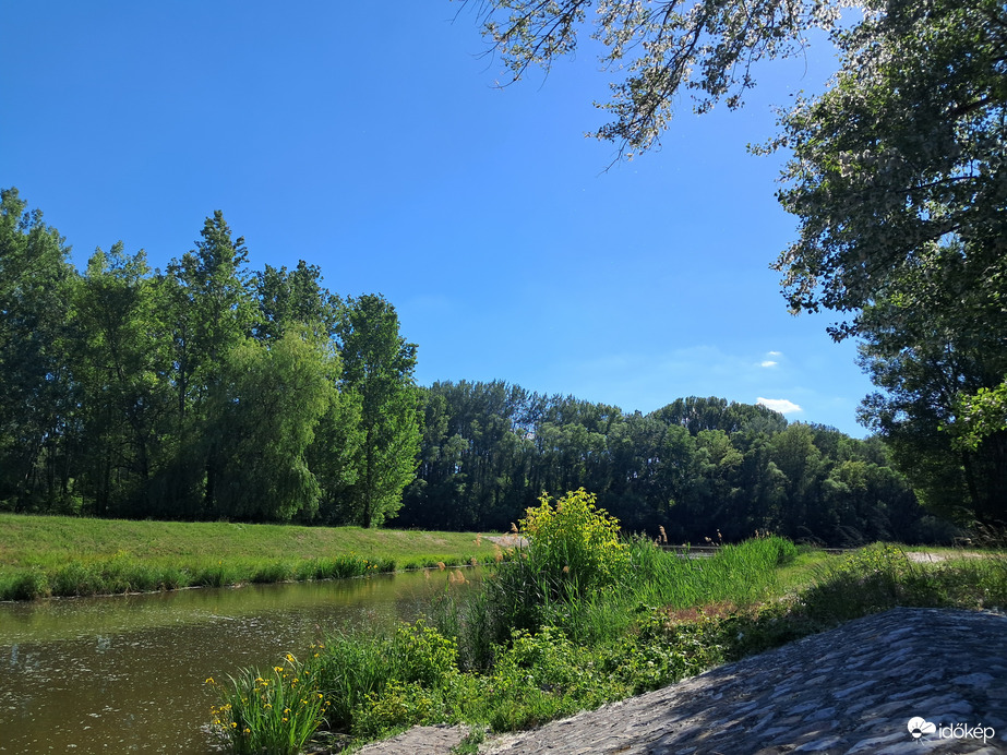 Holtág