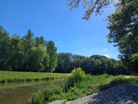 Holtág