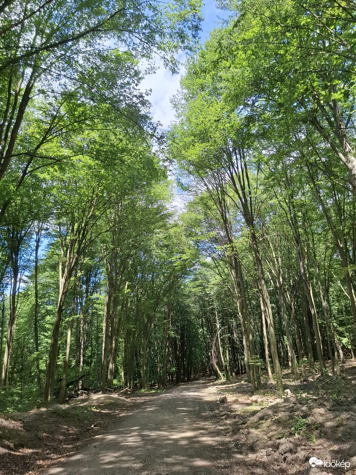 Cuha völgye