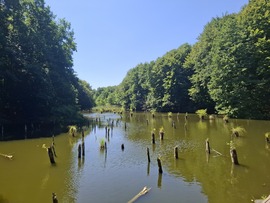 Gyilkos-tó