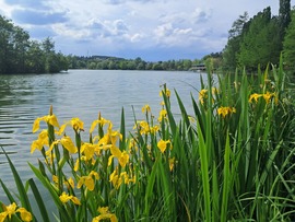 Szombathely