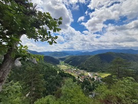 Hausstein