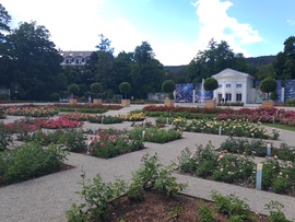 Baden