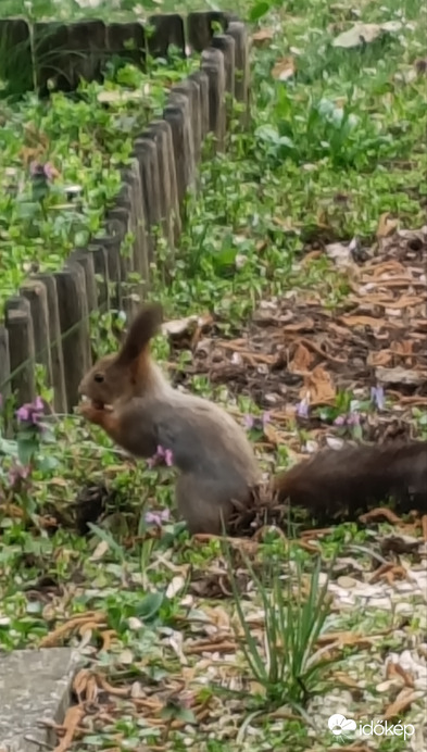 Ne zavarj! Épp táplálkozom.