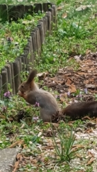 Ne zavarj! Épp táplálkozom.