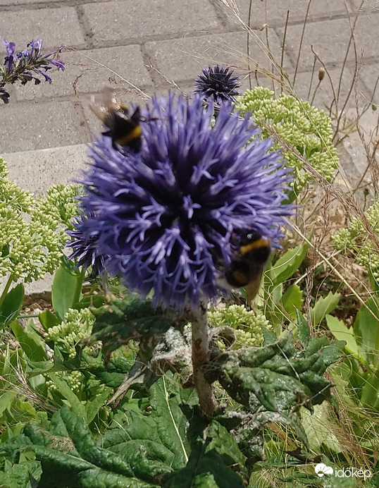 "Dolgos" nyári napforduló