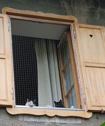 Őrszemek