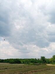 Geszt
