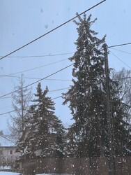 Vácduka