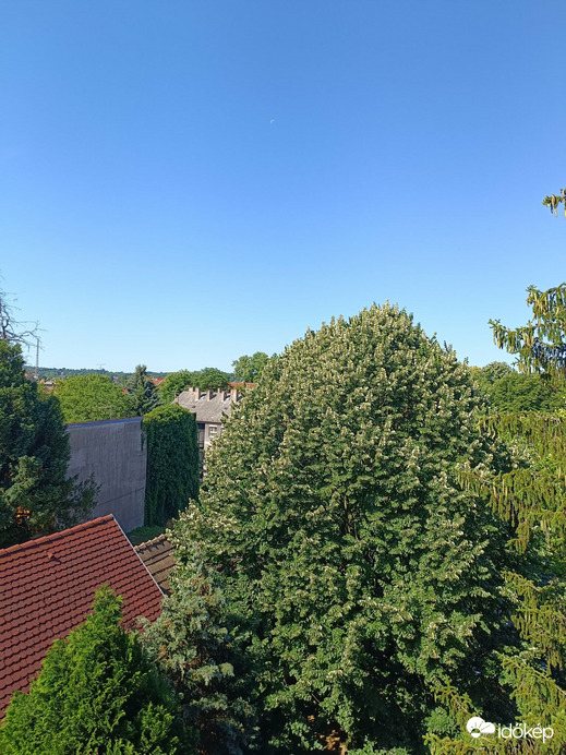 Kaposvár