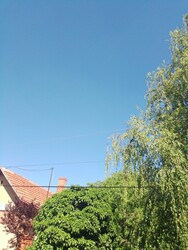 Csongrád