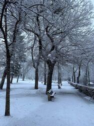 Budapest XII.ker - Istenhegy