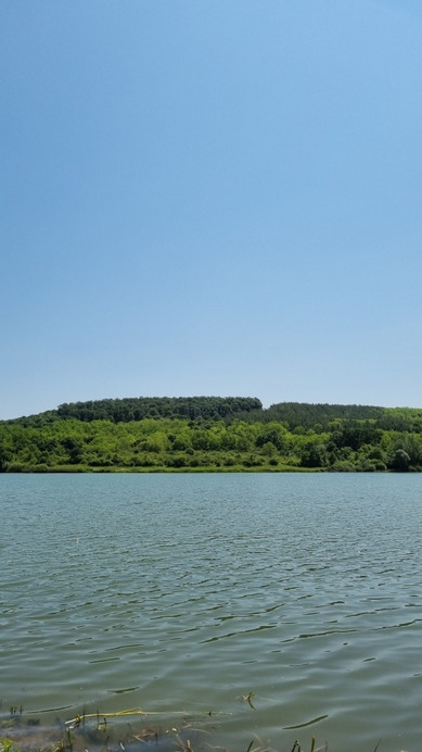 Mórágy
