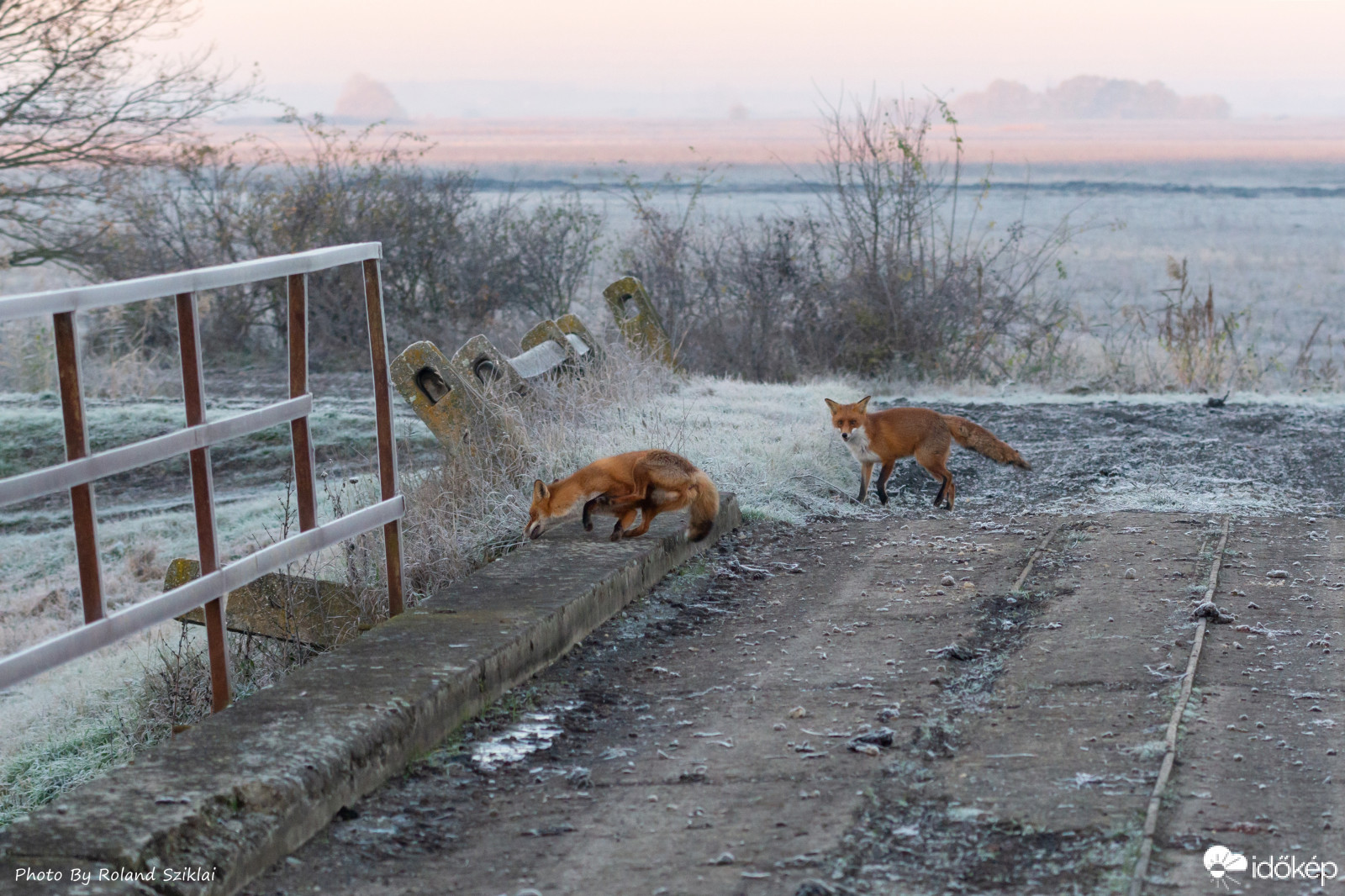 Első kép, ahol mindannyian meglepődtünk, hogy szembetalálkoztunk! :-)
