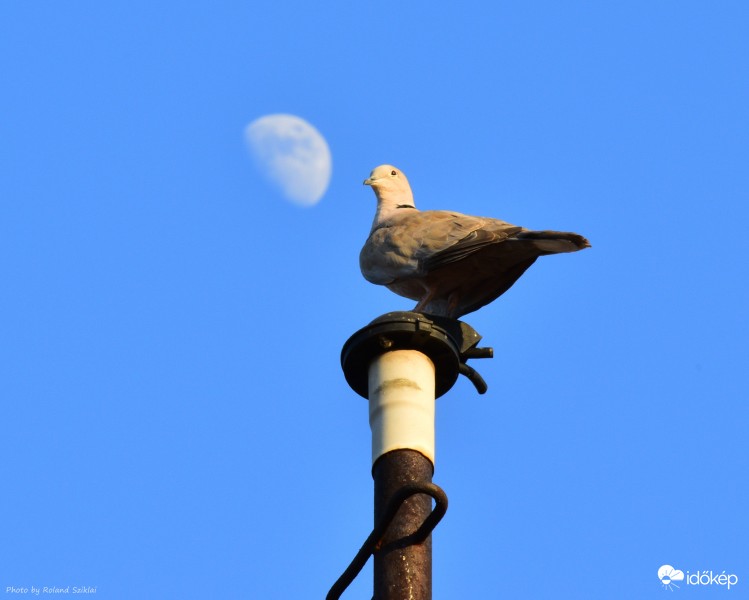 Na Helló, indultam a Holdra! :-)