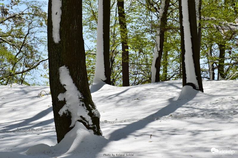 Menekülő hómanót fényképeztem :-)