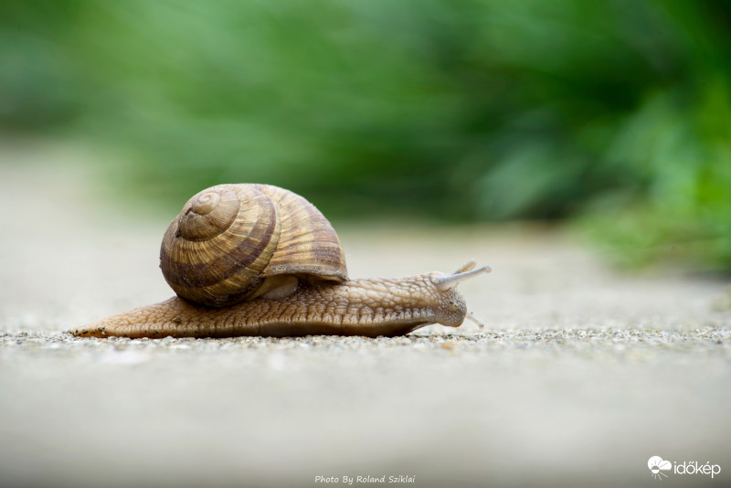 Turbó nyomában! :-)