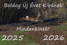 Boldog Új Évet Kívánok! :-)