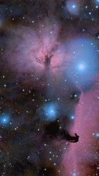 IC 434 Lófejköd