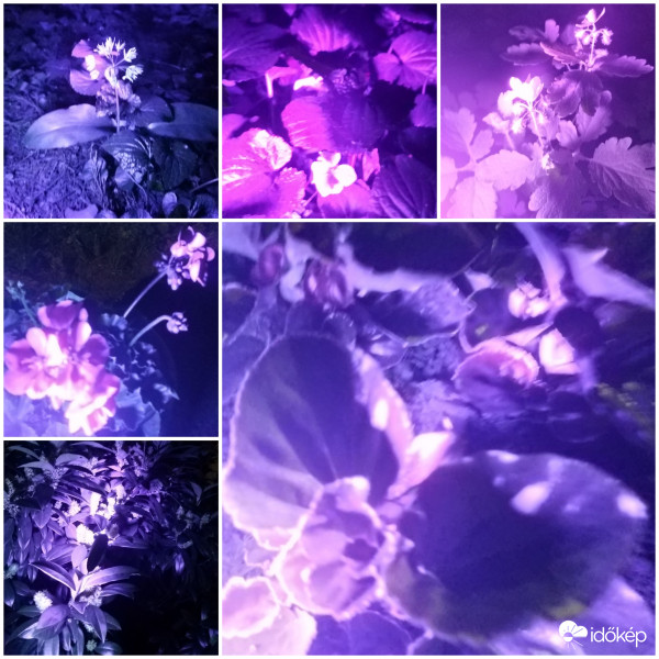 #UvFoto Kihivásra