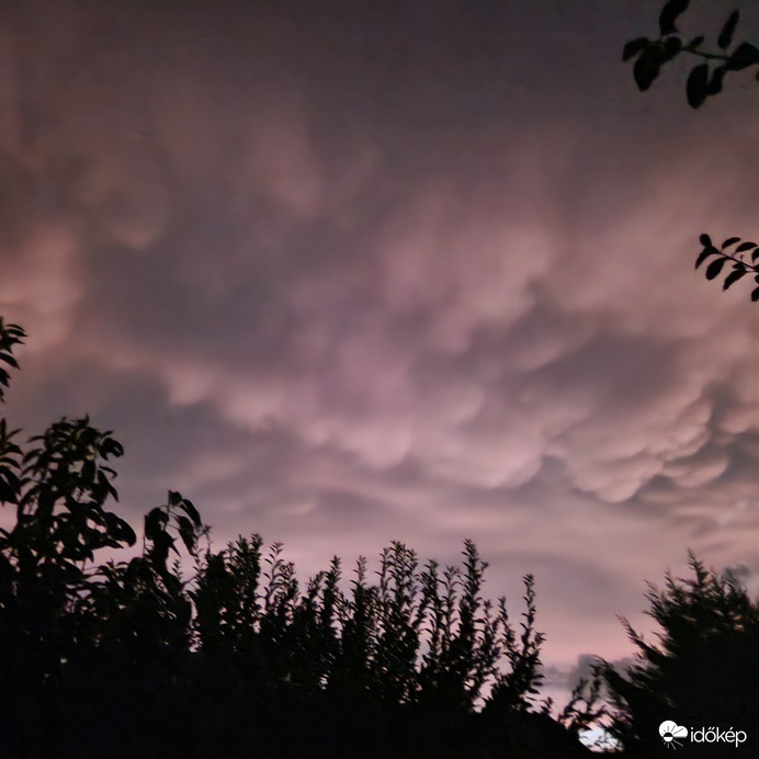 Vihar Útáni Mammák