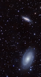 M81 (Bodes Galaxis)