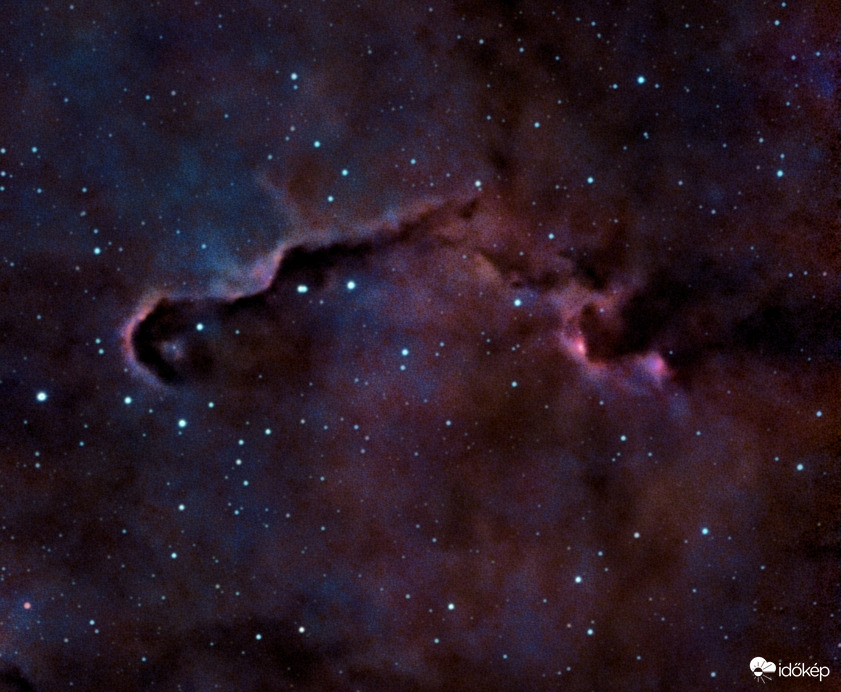 IC1396A (Elefántormányköd)