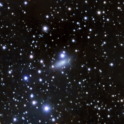 NGC 1569
