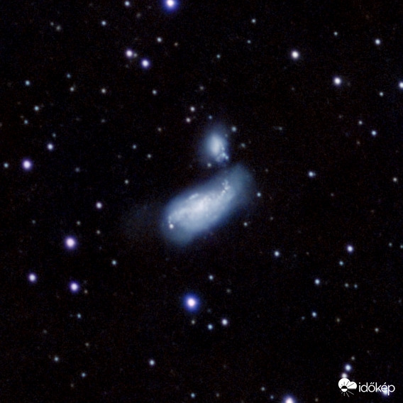Cocoon Galaxis (NGC4490) 
