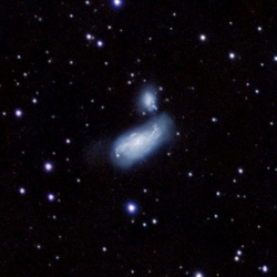 Cocoon Galaxis (NGC4490) 