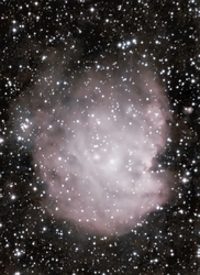 Majomfej köd (NGC 2174)