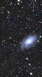 NGC2403