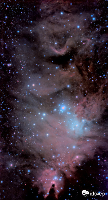 Karácsonyfa Köd (NGC2264)
